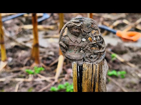 Видео: Выбитое поле даёт находки. Коп в Калининградской области. Metal detecting Treasure hunt 