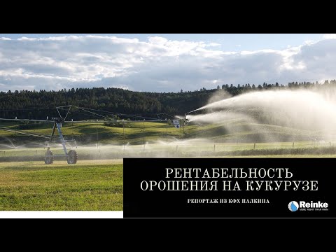Видео: Высокая рентабельность орошения на кукурузе: правда или миф