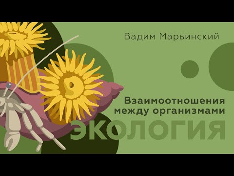 Видео: Насколько важен симбиоз? Экология: Взаимоотношения между организмами. Естествознание 7.4