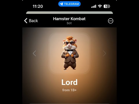 Видео: ЛИСТИНГ ПРЯМОЙ ЭФИР ⚠️HAMSTER KOMBAT