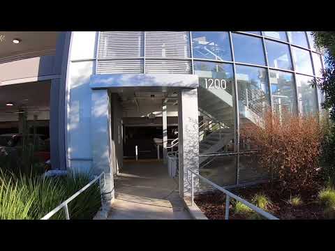 Видео: Не взяли в Гугл