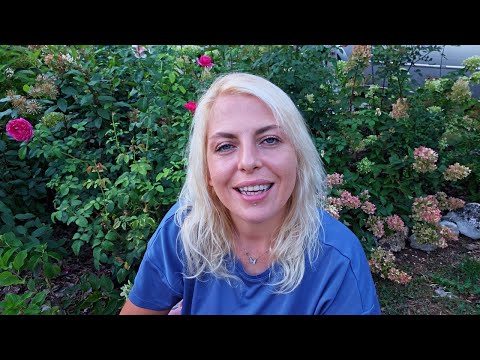 Видео: Откъде купувам растения, каква духалка използвам, подрязване на лавандула, лилиуми, физокарпус