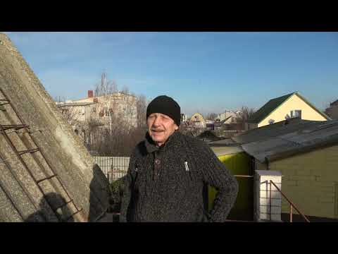 Видео: Генические голуби. В гостях у Нестеренко А. А.
