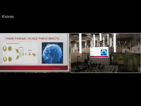 Видео: 21 Talks: Илья Семенов, Биохимия любви.