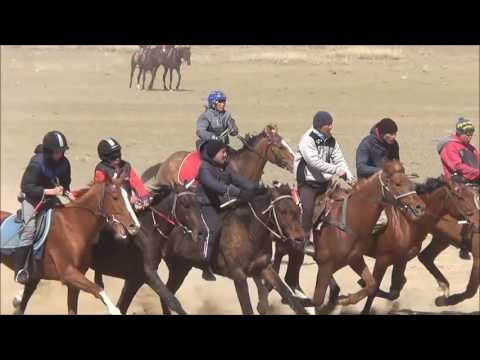Видео: Скачки, Ат жарыс 09 мая  2016г. с.Кош-Агач дист. 6400м. Каhарман 1 место