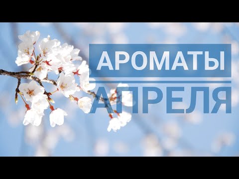 Видео: Ароматы апреля 2023г. 🌱🌸🌿