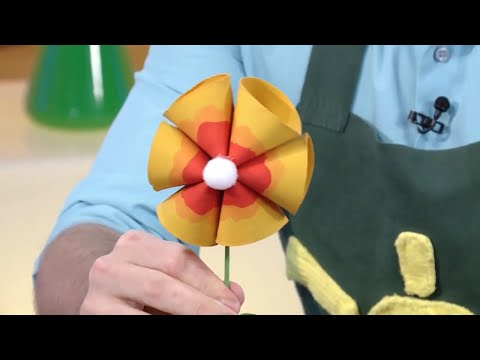 Видео: Чудо-цветок в горшке - С добрым утром, малыши! - Мастерская