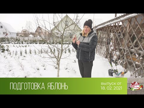 Видео: Удачи на даче (18.02.2021)