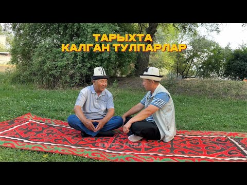 Видео: Тарыхта калган тулпарлар