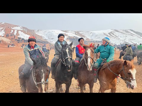 Видео: 29.01.25 Ноокат улак 50мин $ аттар келди