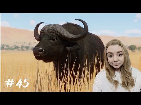 Видео: Осуждаю буйволов ➤ Planet Zoo #45