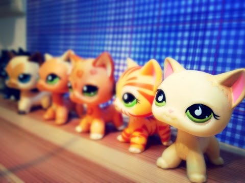 Видео: LPS: Все мои кошки на четырех лапах/стоячки