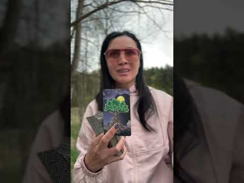 Видео: 💰ВОЗВРАТ РЕСУРСОВ для Перехода на НОВЫЙ ФИНАНСОВЫЙ УРОВЕНЬ #таро#деньги #любовь#психология#эзотерик