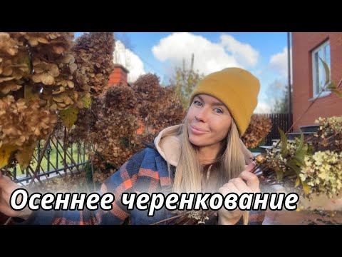 Видео: НЕ ВЫБРАСЫВАЙТЕ ГОРТЕНЗИИ ПОСЛЕ ОБРЕЗКИ. Черенкуем и сохраняем до весны