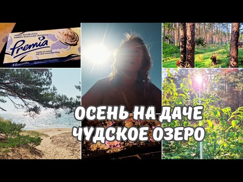 Видео: Осень на даче.Сентябрь,а мы купаемся!Чудское озеро.Новое мороженое и кофе.Печеная картошка на углях