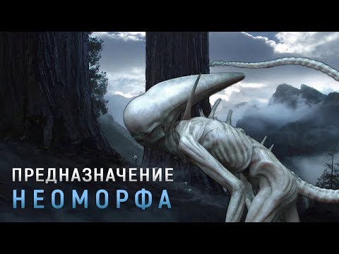 Видео: ДЛЯ ЧЕГО ИНЖЕНЕРЫ СОЗДАЛИ НЕОМОРФА? | ПРЕДНАЗНАЧЕНИЕ НЕОМОРФА