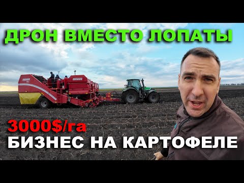 Видео: Как выращивают картофель в Казахстане с помощью Дронов и Grimme. Уборка картофеля, хранение.