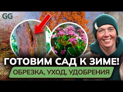 Видео: Как подготовить УЧАСТОК, САД К ЗИМЕ? Мастер-класс: обрезка растений, секреты ухода, удобрения