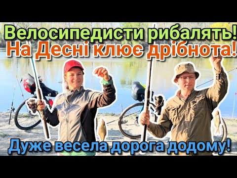 Видео: Що клює на Десні?Велосипедисти рибалять! Зворотню дорогу затопило...