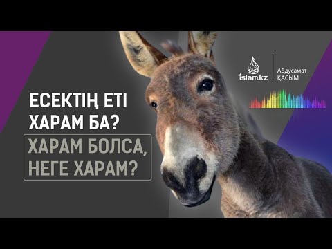 Видео: Есектің еті харам ба? Харам болса, неге харам? / Абдусамат Қасым