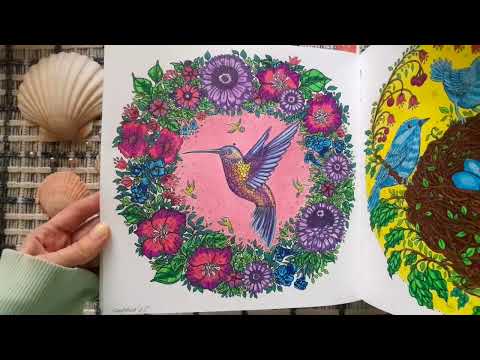 Видео: Раскрашено за апрель'25 в раскрасках антистресс