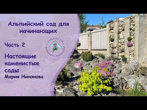 Видео: АЛЬПИЙСКИЙ САД ДЛЯ НАЧИНАЮЩИХ. ЧАСТЬ 2. НАСТОЯЩИЕ КАМЕНИСТЫЕ САДЫ