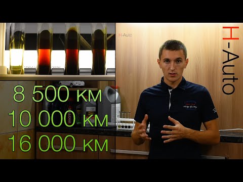 Видео: Когда менять масло? Каждые 16 000 км или 8 500 км? (H-Auto)