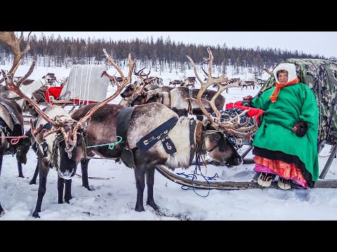 Видео: Невероятная судьба | Ясавэй. Кочевник ХХI века. 1 Часть