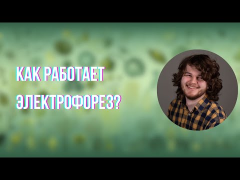 Видео: ПЦР и Гель-электрофорез : то, что должен знать любой олимпиадник (часть 1) | Кирилл Ларичев