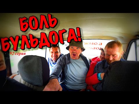 Видео: БОЛЬ БУЛЬДОГА / ВОЗВРАЩЕНИЕ ДОМОЙ / 92 серия (18+)