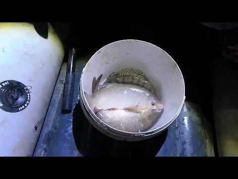 Видео: первая рыбалка на перемёт 2024 года и бонус в кастинговую сеть