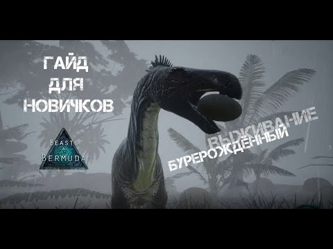 Видео: Beasts of Bermuda | Для новичков #1