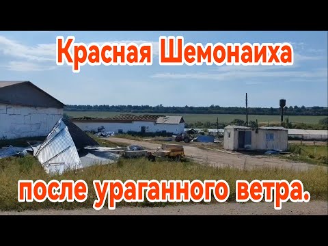 Видео: Красная Шемонаиха после ураганного ветра