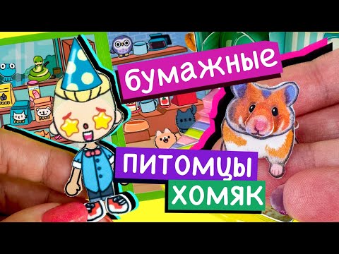 Видео: ХОМЯК ИЗ БУМАГИ / БУМАЖНЫЕ ПИТОМЦЫ / БУМАЖНАЯ ТОКА БОКА