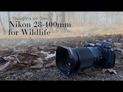Видео: Обзор объектива Nikon Z 28-400mm для фотосъемки дикой природы