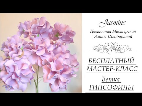 Видео: БЕСПЛАТНЫЙ МАСТЕР-КЛАСС - Ветка Гипсофилы