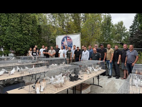 Видео: Выставка голубей. Америка Орегон 2025.