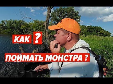 Видео: КАК? Поймать монстра. Рыбалка на карася неожиданный гость.