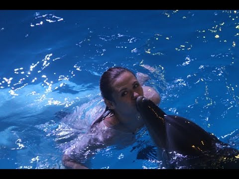 Видео: КАК СТАТЬ ДРЕССИРОВЩИКОМ ДЕЛЬФИНОВ