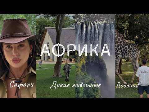 Видео: ДИКАЯ АФРИКА🐘VLOG: Зимбабве🇿🇼 Водопад Виктория, сафари, полёт на вертолёте и отель в заповеднике