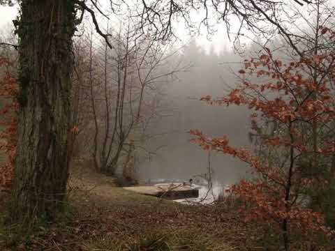 Видео: комфортный осенний плейлист🍂