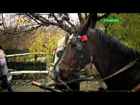 Видео: Традиции глубинки: свадьба по-молдавски