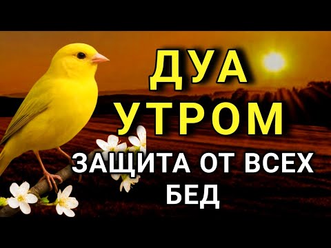 Видео: ☝️✨ СИЛЬНЕЙШЕЕ ДУА УТРОМ ОТ ВСЕХ БЕД  🤲🌹🌈