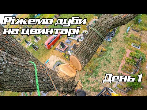 Видео: Ріжемо дуби на цвинтарі день 1