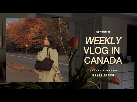 Видео: SEPTEMBER WEEK VLOG В КАНАДЕ | НОВАЯ РАБОТА | РАЗВИВАЮ ХОББИ | КАК ОТРАЩИВАЮ ВОЛОСЫ