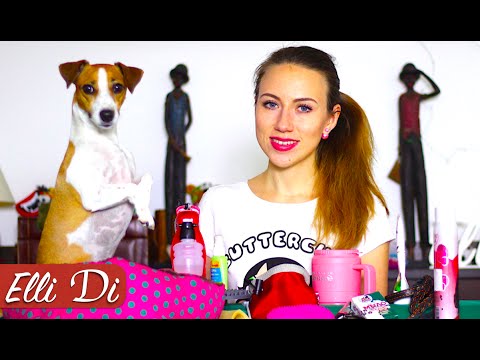 Видео: ПОКУПКИ ИЗ ЗООМАГАЗИНА | УХОД ЗА СОБАКОЙ | Elli Di Собаки