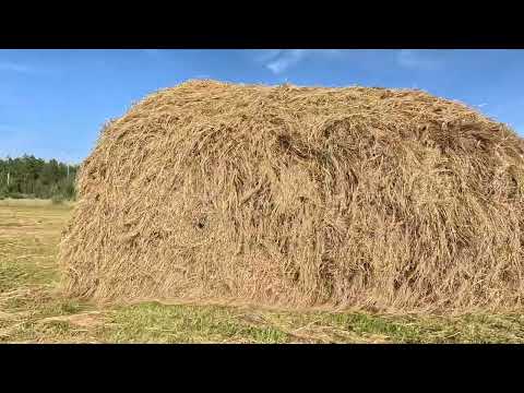 Видео: Сенокос (от улэтэ)