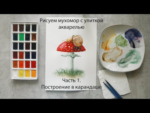 Видео: Видеоурок рисования акварелью: Мухомор с улиткой. Часть 1. Построение в карандаше