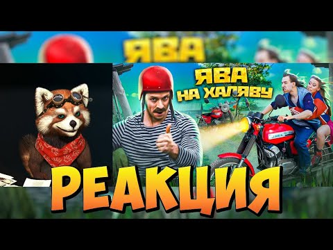 Видео: РЖАВАЯ МОЛОДОСТЬ ЯВА на халяву | реакция RED Пандыч | @Виталий Оpехов