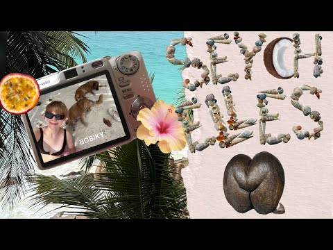 Видео: СЕЙШЕЛЬСКИЕ ОСТРОВА🌺🌴🥥 рай существует и он здесь!!!!
